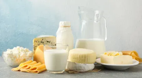 Leite, queijos e iogurte sobre a mesa